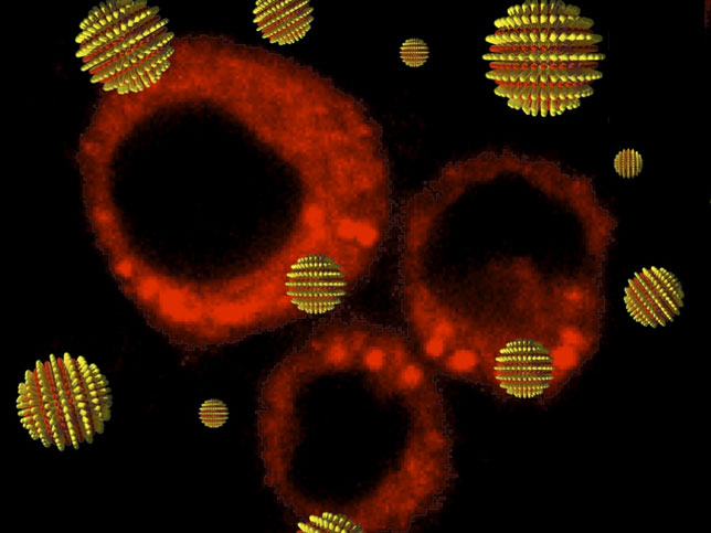 Striped nanoparticles