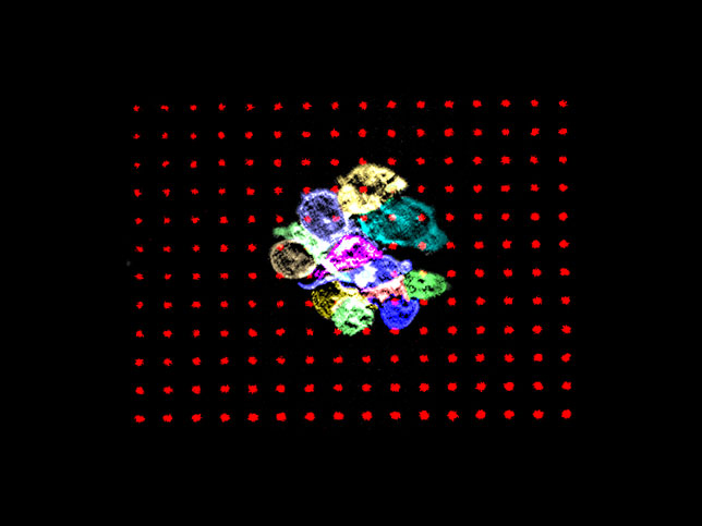 Aggregated T cells on agonist microdots: The microdot image is of aggregated T cells on agonist microdots. It shows the activation induced aggregation of T cells.